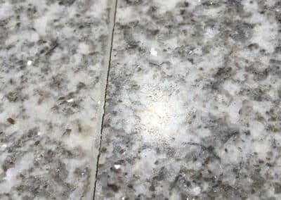 2-Month Old Seam Splitting